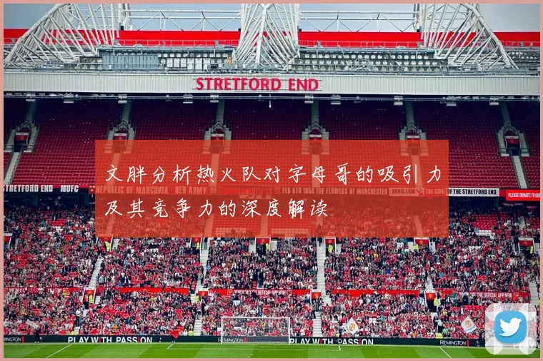 文胖分析热火队对字母哥的吸引力及其竞争力的深度解读